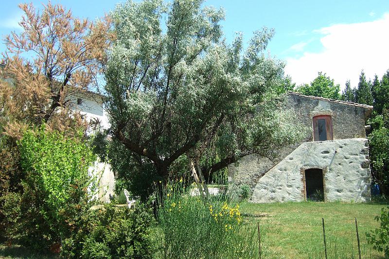 2011-05- (1555).JPG